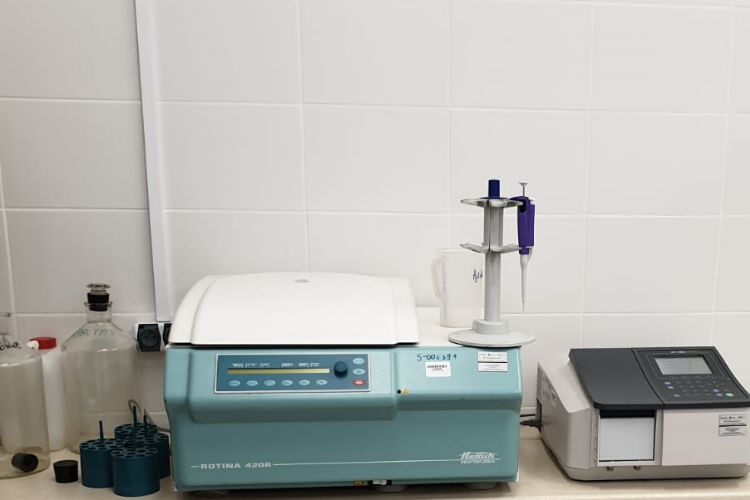 Określenie cech jakościowych bulw 