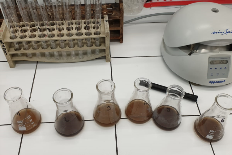 Ocena skłonności do ciemnienia